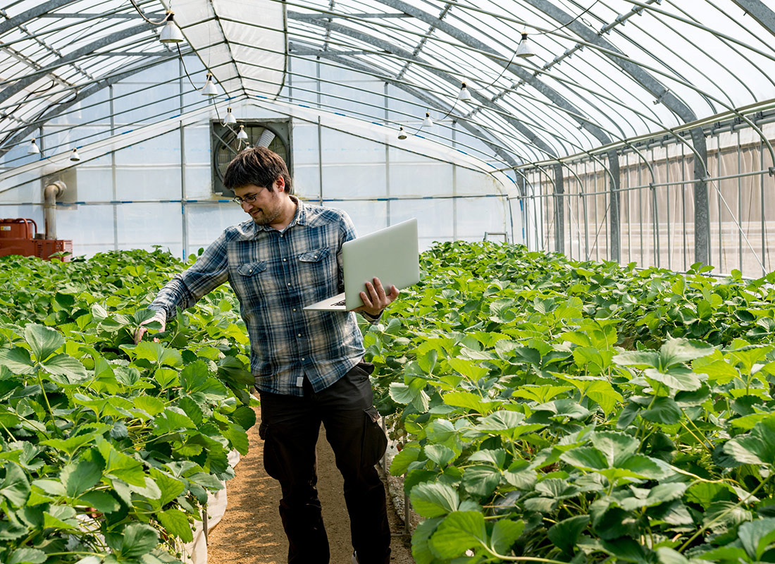 Green House Operator