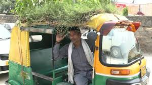 Auto Rickshaw Driver